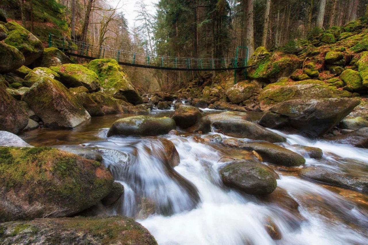 Ferienwohnung Geyersberg Inklusive Aktivcard Bayerischer Wald Freyung Esterno foto