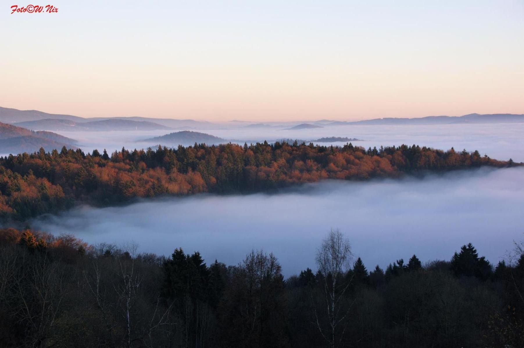 Ferienwohnung Geyersberg Inklusive Aktivcard Bayerischer Wald Freyung Esterno foto